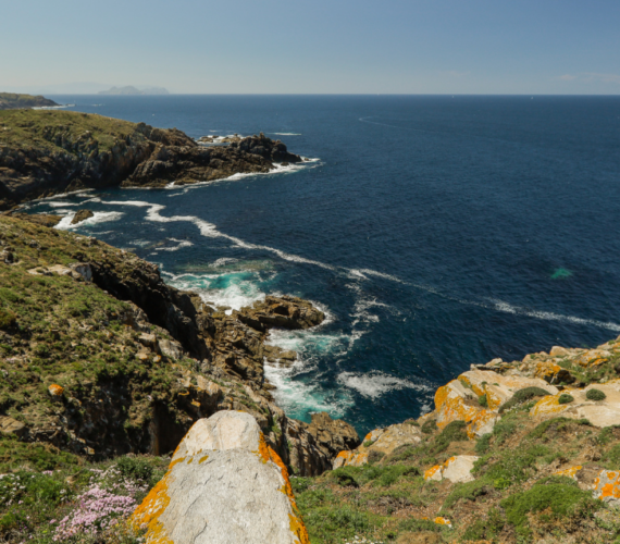 Excursión a la Isla de Ons con niños: La guía definitiva desde Cambados Excursión a la Isla de Ons con niños: La guía definitiva desde Cambados